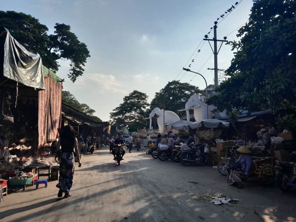 မပြိုပျက်မီက ဆင်ကြီး နှစ်ကောင်/Photo - CJ